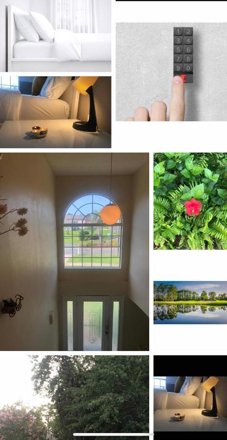 Amazing And Work Book 7 Nights Minimum *