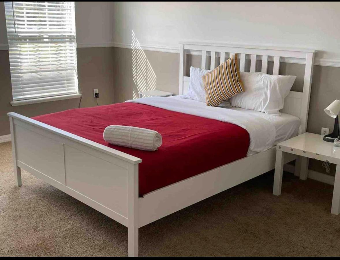 Amazing And Work Book 7 Nights Minimum *